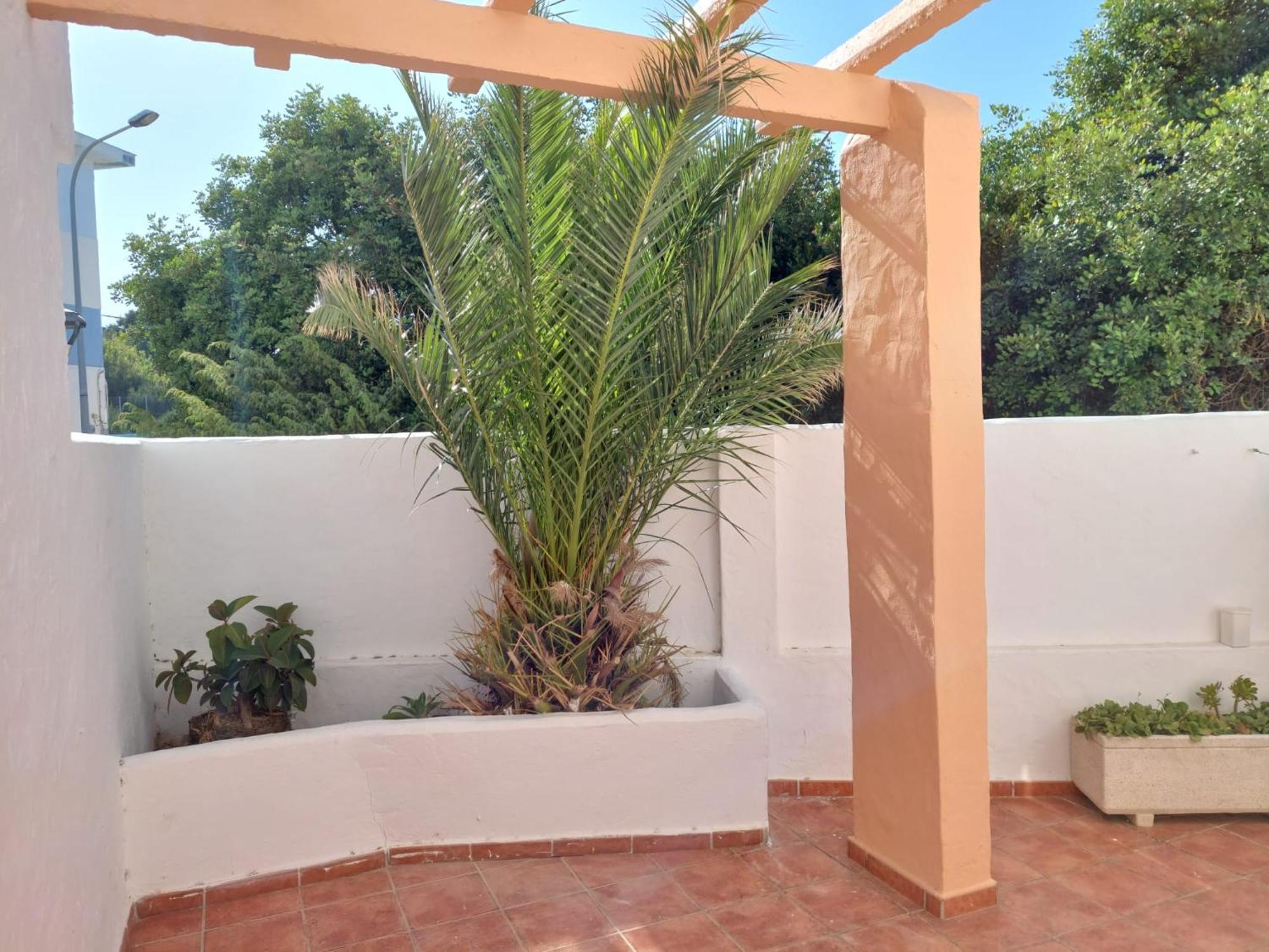 Piscina, Wifi, Patio Con Vistas Appartement *