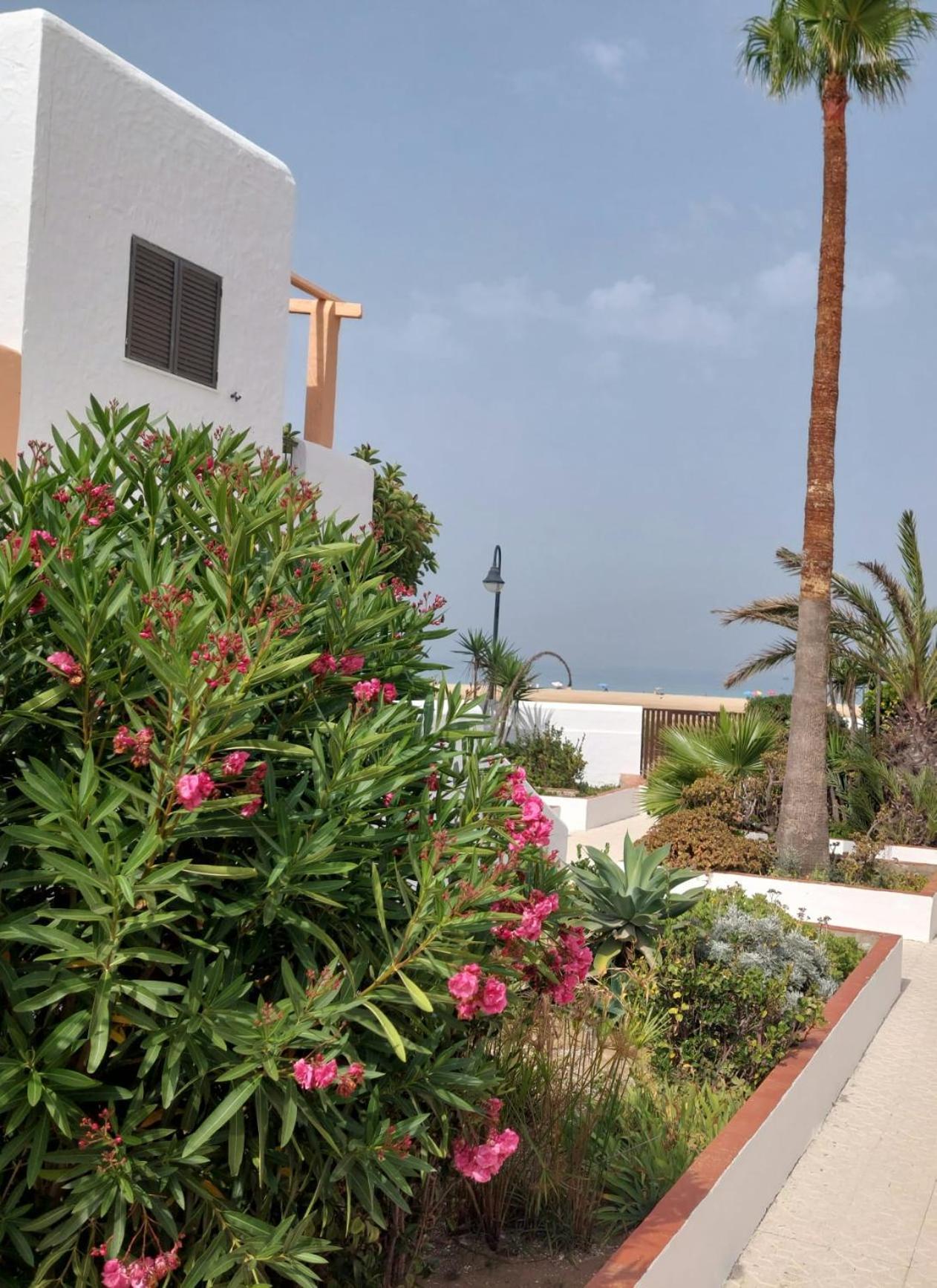 Piscina, Wifi, Patio Con Vistas Appartement Tarifa